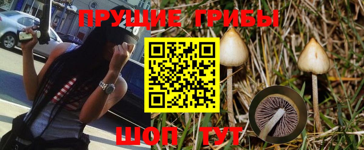 Псилоцибиновые грибы мухоморы  Вход с VPN  купить наркотики цена  Янаул 